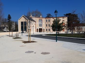 Tocht Noords wandelen Romorantin-Lanthenay - boucle Romorantin  - Photo