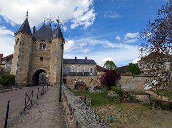 Tour Rennrad Paron - 142 S85 Villeneuve sur Yonne-01 - Photo