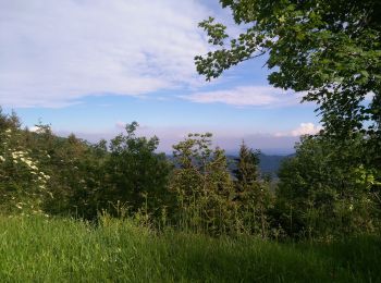 Tour Zu Fuß Coggiola - IT-G06 - Photo