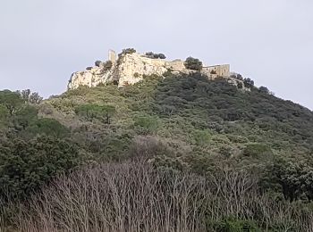 Tour Wandern Chusclan - CHUSCLAN - Fontaine du Renard - GICON - VENEJAN - Photo