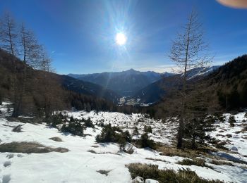 Tour Wandern Mallnitz - Ballade Auernig - Photo