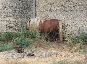 Percorso Marcia Vesly - vesly Guerny par le chêne  - Photo