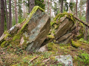 Tour Zu Fuß  - Trestugespåret - Photo