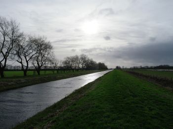 Tocht Te voet South Holland - Willow Tree Fen Blue intermediate route - Photo