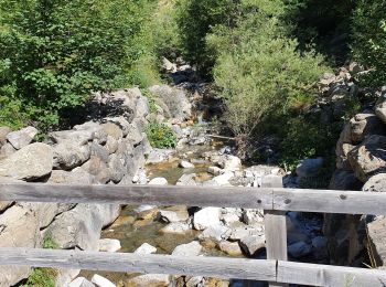 Trail Walking Réallon - Cabane du Vallon - Photo