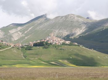 Randonnée A pied Norcia - Castelluccio di Norcia (SI)/Rifugio Capanna Ghezzi - Photo