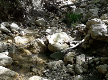 Tour Wandern Le Châtelard - les maîtres du mont - Photo