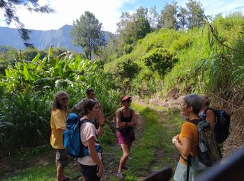 Excursión Senderismo Salazie - mare à poules d'eau - Photo