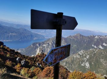 Percorso A piedi Mandello del Lario - Sentiero 13b: Rongio - Rifugio Rosalba per lo Zucco Pertusio - Photo