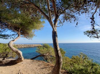 Tour Wandern Martigues - Cap Couronne - Photo