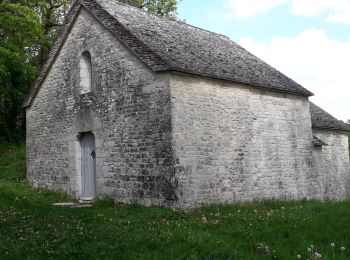 Excursión Senderismo Fleurey-sur-Ouche - Combe mamouth de Fleurey sur Ouche - Photo