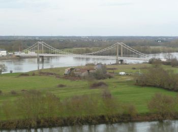 Percorso A piedi Mauges-sur-Loire - circuit Èvre et Loire - Photo