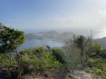 Randonnée Marche Terre-de-Haut - Le Chameau Terre de haut - Photo