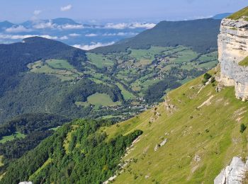 Excursión Senderismo Aillon-le-Jeune - MARGERIAZ-02-08-24 - Photo