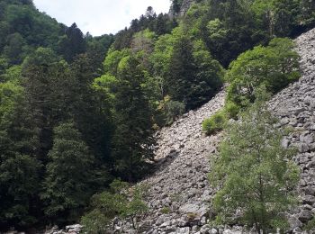 Randonnée Marche Le Valtin - Le Sentier des Roches - Photo