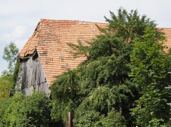 Randonnée A pied Franking - 1. Bauerngolf Wanderweg - große Runde - Photo