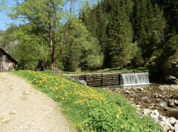 Tocht Te voet okres Liptovský Mikuláš - Náučný chodník Prosiecka a Kvačianska dolina - Photo