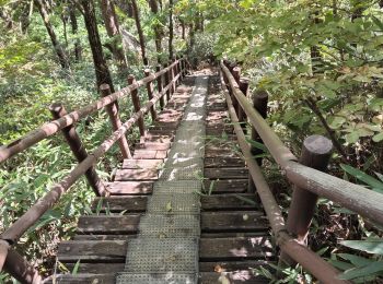 Tocht Stappen  - Boucle du Peak Cheonwangbong  - Photo