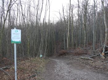 Trail On foot Gemeinde Pottenstein - Pottenstein - Merkenstein - Eisernes Tor - Photo