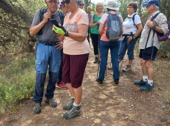 Trail Walking Laure-Minervois - Laure Mvois (Capitelles) - Photo