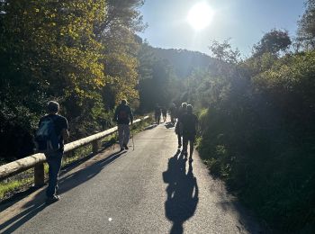 Tocht Stappen Le Castellet - Le BRÛLÂT - Photo