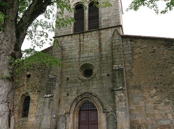 Excursión A pie Olmet - Le Chateau de la Faye - Photo