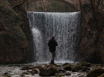 Tocht Te voet Montella - Sentiero dello Scorzella - Photo