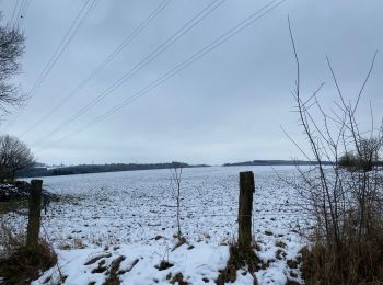 Tocht Stappen Houffalize - Houffalize 24 Km - Photo