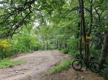 Tocht Mountainbike Claix - Le Rocher du Chatelard en boucle par le Peuil. - Photo