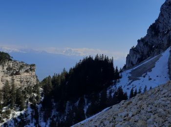 Excursión Senderismo Saint-Nizier-du-Moucherotte - vallon des forges - Photo