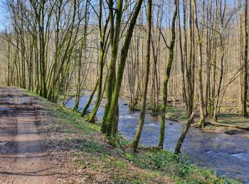 Randonnée Marche Daverdisse - Daverdisse - Du Gaudru - G1 - Photo