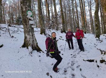 Randonnée Marche Kruth - le grand Ve tron - Photo