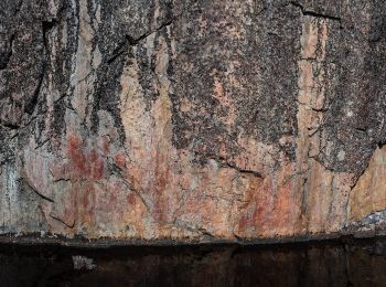 Randonnée A pied Suomussalmi - Värikallion kaarros - Photo