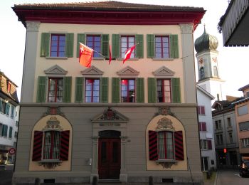 Tour Zu Fuß Lachen - Lachen - Bräggerhof - Photo