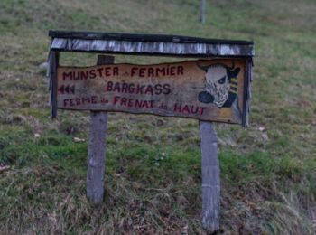 Tour Wandern Le Ménil - Le Ménil - Balade des deux chapelles - Photo