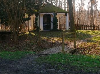 Randonnée Marche Sélestat - Selestat- Boucle Au fil des vous d'eau du Ried - Photo