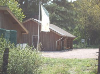 Tour Zu Fuß Wadern - Traumschleife Almglück - Photo