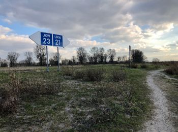 Tocht Te voet Onbekend - Urdenbacher Kämpe - Rund um die Obstwiesen - Photo