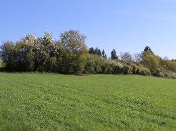 Randonnée A pied Rainbach im Innkreis - Rundweg - Photo