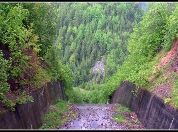 Randonnée A pied  - Complex turistic Fântânele - Coliba Mâțului - Crucea lui Avram Iancu - Photo