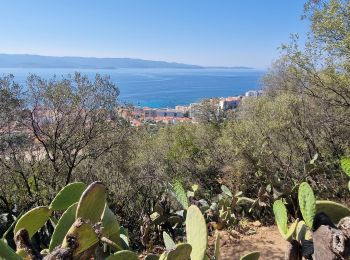 Excursión A pie Ajaccio - Sentier des Crêtes Ajaccio et Grotte Napoléon - Photo