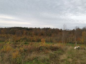 Randonnée Marche Envermeu - envermeu le bucq st sulpice breuilly - Photo