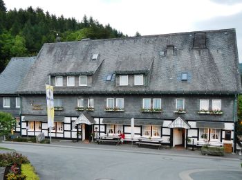 Percorso A piedi Schmallenberg - Waldarbeiter- und Försterpfad - Photo