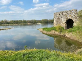 Tour Wandern Orée-d'Anjou - Le prieuré Champtoceaux  - Photo