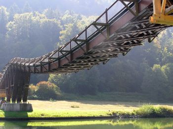 Percorso A piedi Essing - Rundweg Essing 4 - Photo