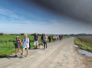 Trail Walking Mesnil-Saint-Nicaise - randonnée de la fête du sport  - Photo