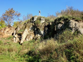 Trail On foot Kemnath - Waldeck Rundweg 