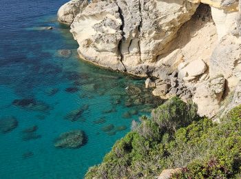 Trail Walking Saint-Florent - sentier vecchiaia - Photo