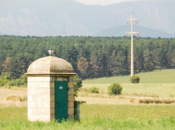 Randonnée A pied Gemeinde Neunkirchen - Laufstrecke Föhrenwald 1 - Photo