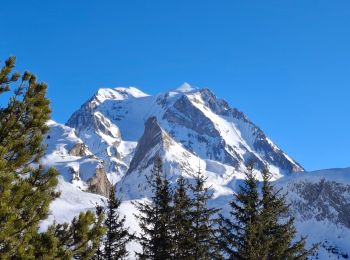 Randonnée Raquettes à neige Pralognan-la-Vanoise - Pralognan  J6 Bochor petit tour avant le départ  - Photo